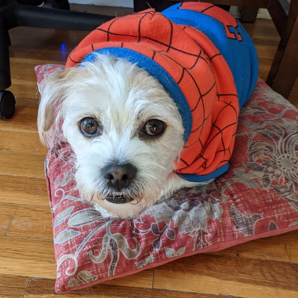 1st Posh LIVE Now!!! FOLLOW GAME! 400K Followers!!! ✨💖🔮 - Picture 3 of 17